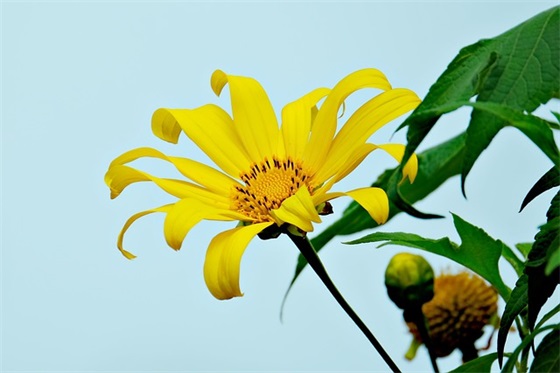 2025庆祝护士节快乐暖心的祝福语文案