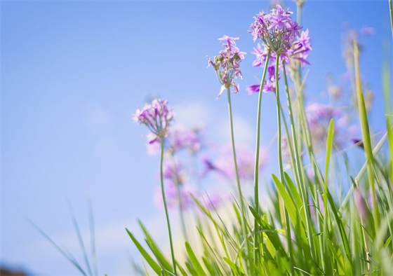 每日清晨微信好友祝福晨语 2025微信好友早上祝福语说说