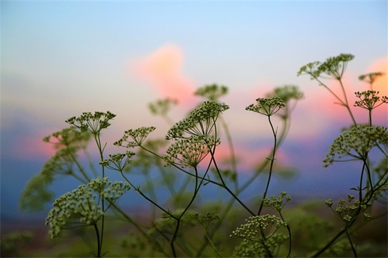 对爸爸的新年祝福语55句