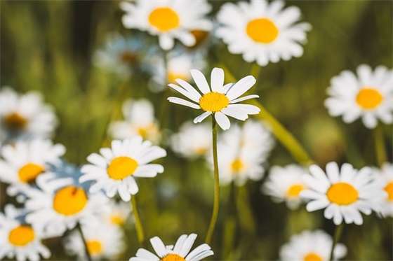 给老公的结婚纪念日祝福语 结婚纪念日祝福语
