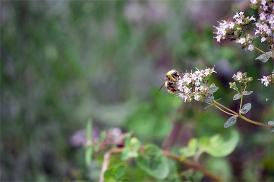 2025年最新周末短信祝福语57句