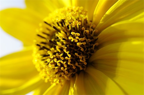 2025年送给长辈的祝福语58句