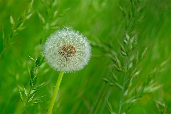 给朋友的生日祝福语最新(女性朋友的生日祝福语简短)