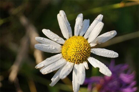 送给高考生的经典祝福语