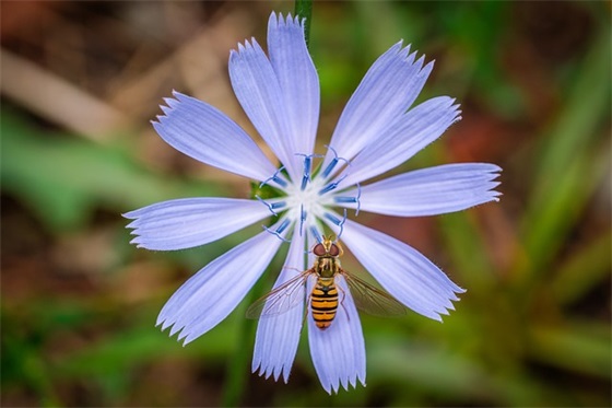 2025除夕暖心的短信问候祝福语(2025年问候祝福语)