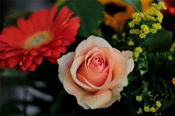 过年祝福语小女孩 过年祝福语