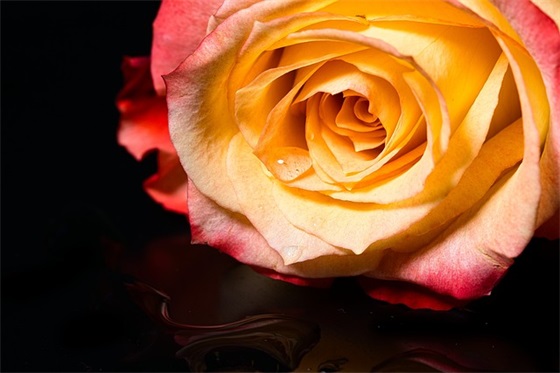 领结婚证的祝福语 领结婚证的祝福语字