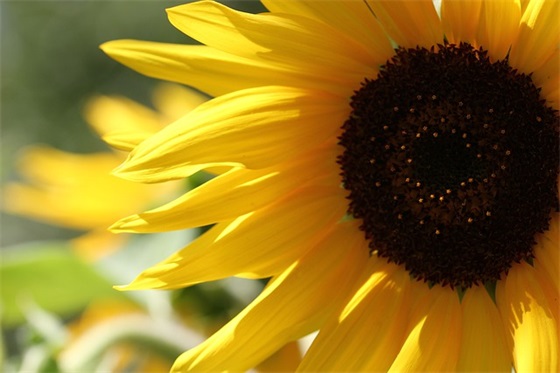 七月第一天的祝福语63句