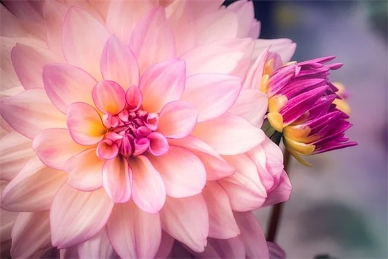 少年闰土小练笔仿写第一段(精选6篇)