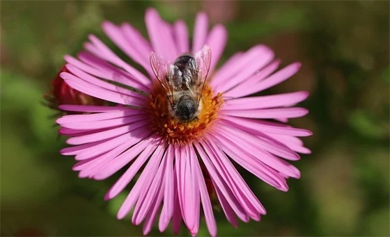 生产主管主要有哪些岗位职责(精选4篇)