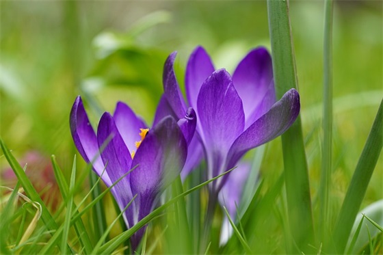 很丧很抑郁的话 很丧很抑郁的话可复制(精选31句)