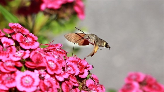 有趣的小实验(精选2篇)
