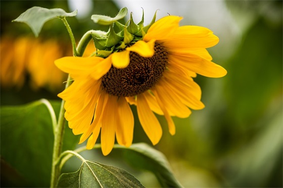 奇妙的世界(精选2篇)