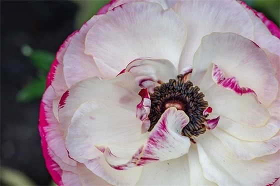 企业内部行政主管职责(精选3篇)