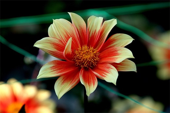 开开心心过大年(精选2篇)