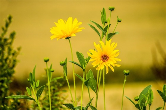 让老婆感动的早上问候短语 让老婆感动的早上问候图片