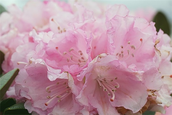 吸引人的招聘文案 招聘文案简短(精选39句)