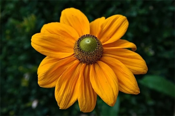 方圆仅此一家 最吸引人的装修宣传语(精选49句)