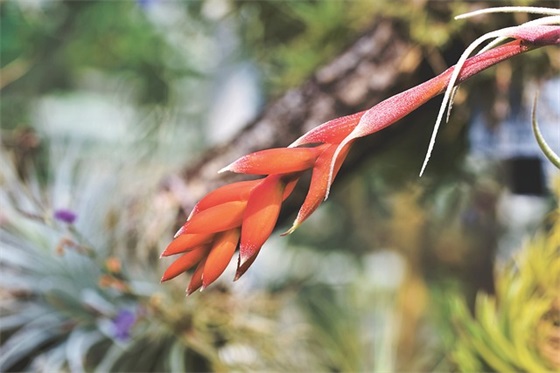 供货证明(精选7篇)