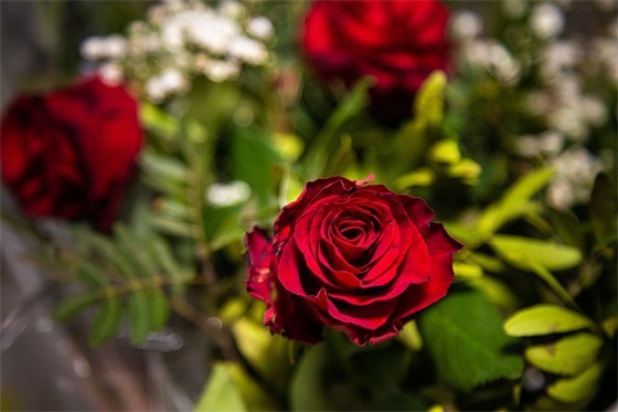 强颜欢笑的伤心短句 抖音强颜欢笑的文案(精选27句)