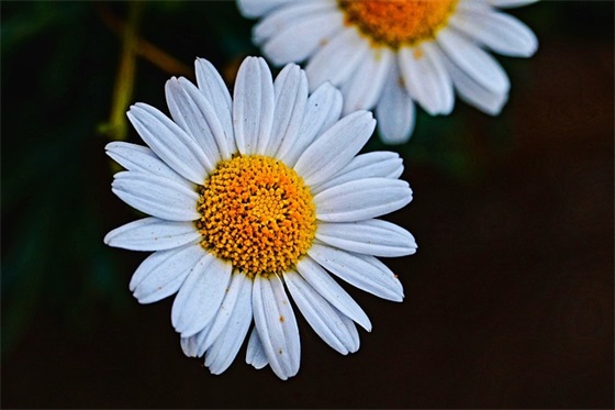 一次难忘的劳动(精选2篇)