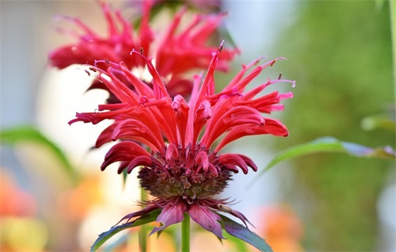 有创意的招商广告文案(精选45句)