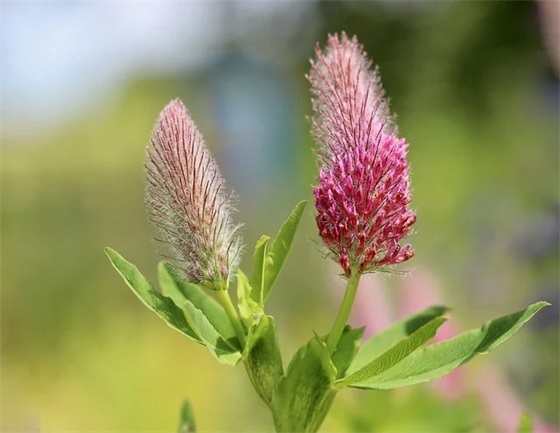 随手拍发朋友圈文案 生活百般滋味，你总要笑脸相待