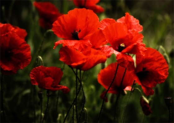 爱一个人的女生个性签名(精选26句)