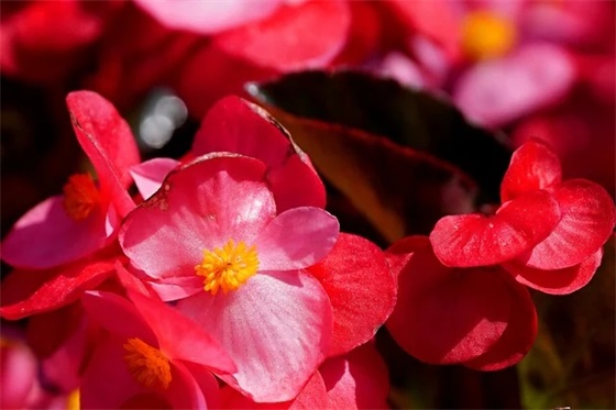 4字人生格言 霸气4字人生格言(精选94句)