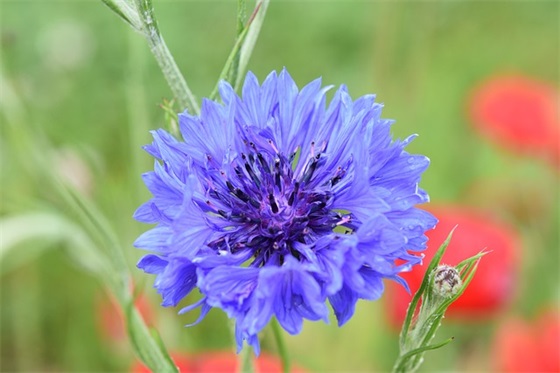 个性霸道超拽签名字 个性冷酷超拽签名(精选60个)