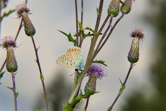 励志的话简短霸气8字 励志的话简短霸气8字英文