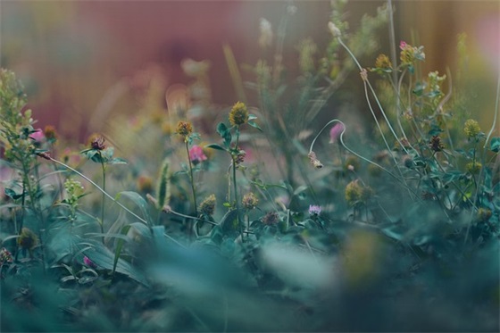 好听的淘宝昵称女生 淘宝昵称女生简短好听英文(精选77个)