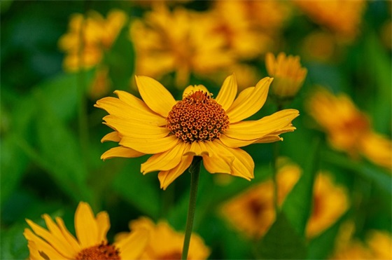 小问号(精选2篇)