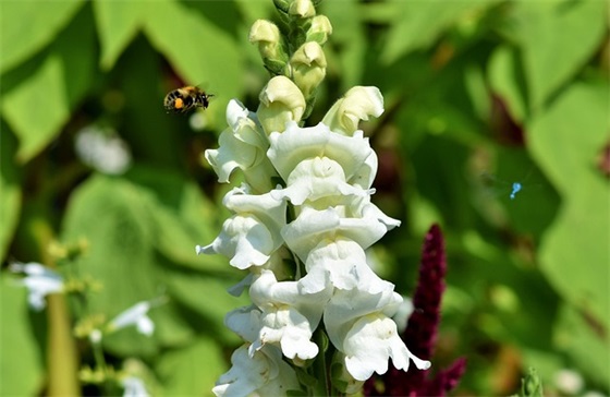 那些打不垮你的东西，最终必将成就你 经典个性人生座右铭