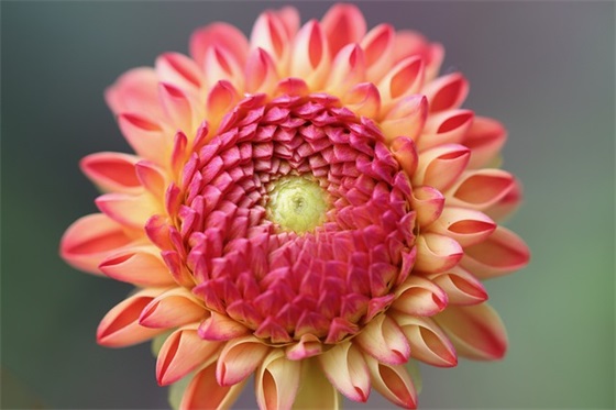 企业招聘专员岗位职责范围(精选4篇)