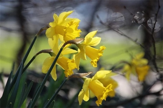 中秋佳节(精选2篇)