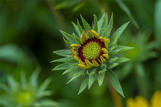 给女友发的早安情话 给女友发早安的小情话