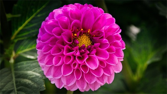 孩子满月贺词简短的字 孩子满月贺词简短的