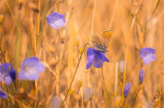 2024情侣备注亲密称呼 qq情侣备注亲密称呼(精选100个)