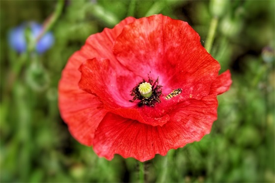 零食推销推广文案 零食大礼包推广文案(精选52句)