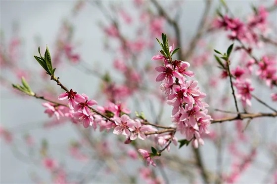 销售行业销售主管的岗位职责(精选4篇)