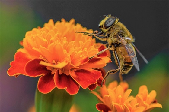 尼采最深度的话(精选19句)