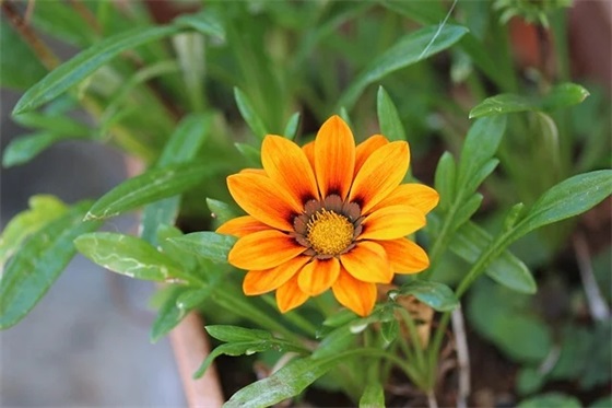 MES实施顾问岗位职责(精选2篇)