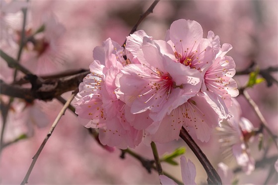 对象备注名称大全 给对象的备注名称(精选101句)