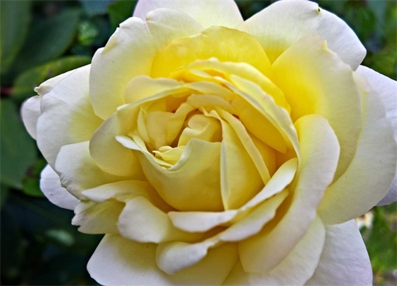 情侣在一起两周年文案 情侣在一起两周年文案带表情