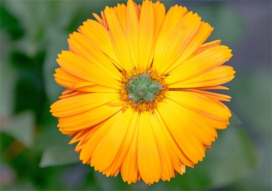 一家人在一起的文案 幸福是一家人在一起的文案