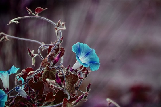 语文课表扬学生的话 语文课表扬学生的话语