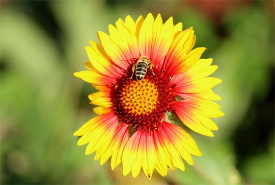 小世界好前程 眼镜广告创意文案(精选45句)