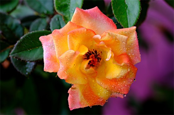 劳动关系工作总结