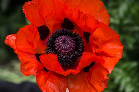 计划生育会议记录